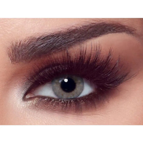 Bella Contact Lenses One Day Rosewood 10's Bella
