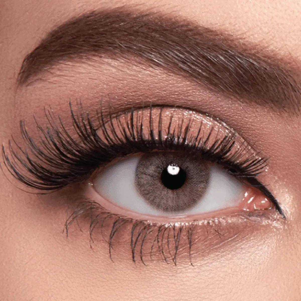 Sama Daily Contact Lenses Hazelnut Color 10's Sama